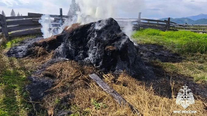 Запасы сена сгорели из-за детской шалости в районе Бурятии