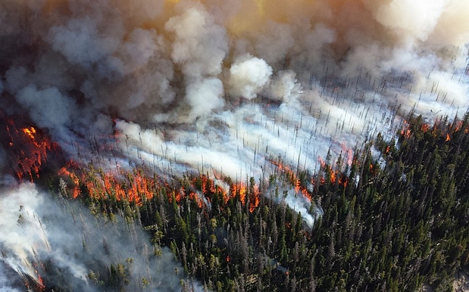 В Бурятии семьям погибших на пожаре сотрудников лесхоза выплатят по 1 млн рублей
