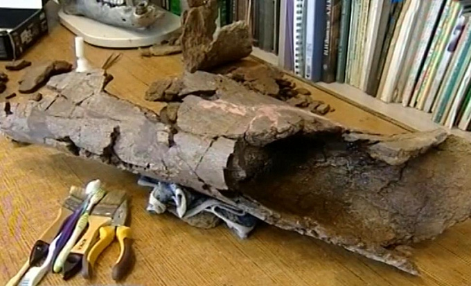 Останки динозавра обнаружили в Бурятии