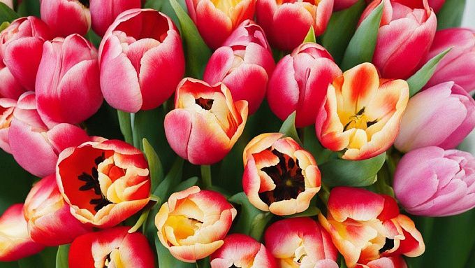 В Улан-Удэ 8 Марта воздух прогреется до нулевой отметки