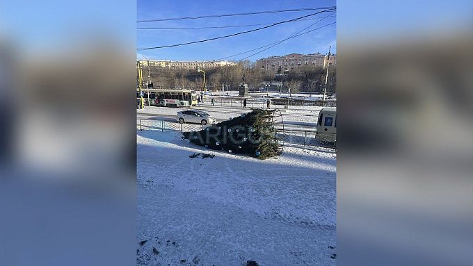 Ветер повалил новогоднюю елку в центре Улан-Удэ
