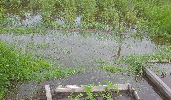 В Улан-Удэ Селенга снова поднялась. Огороды и подполья жителей подтоплены