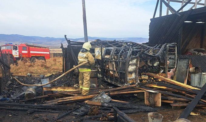 Два десятка животных сгорели заживо на пожаре в Бурятии