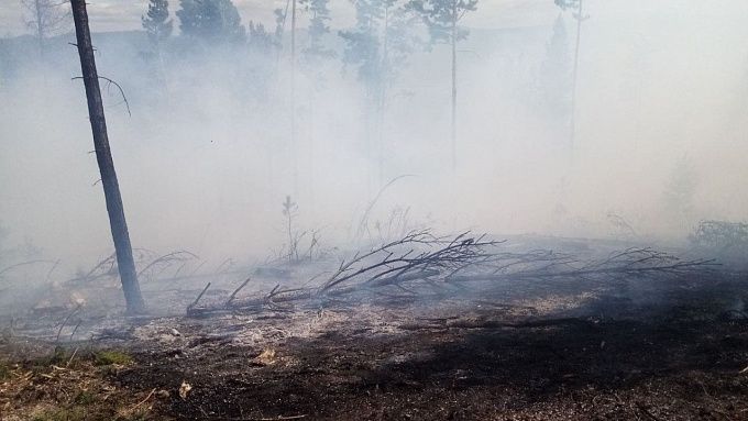В Бурятии произошло шесть лесных пожаров. Сгорело больше 100 гектаров