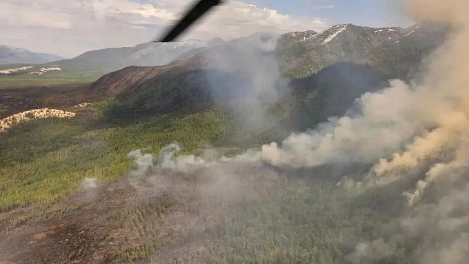 В Бурятии больше 2 тысяч кубометров леса сгорело из-за жителя Иркутской области
