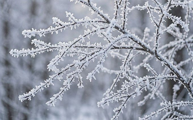 Небольшой снег обещают в Улан-Удэ