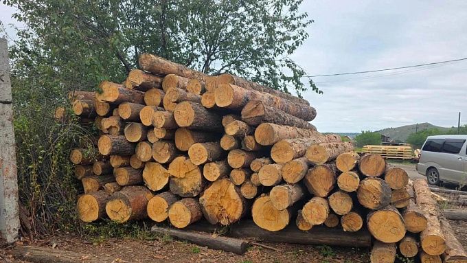 Предприимчивый улан-удэнец заготовил лес на миллион на чужом участке