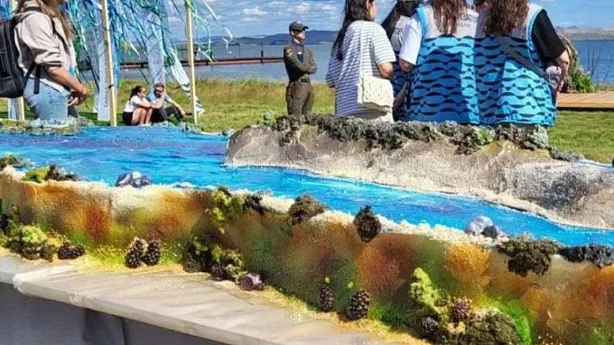 Огромный торт в виде Байкала испекли в Иркутской области