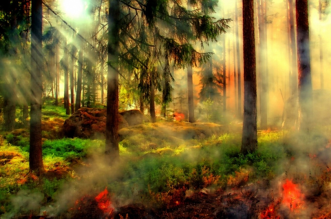 В Бурятии тушат более трех тысяч гектаров горящего леса