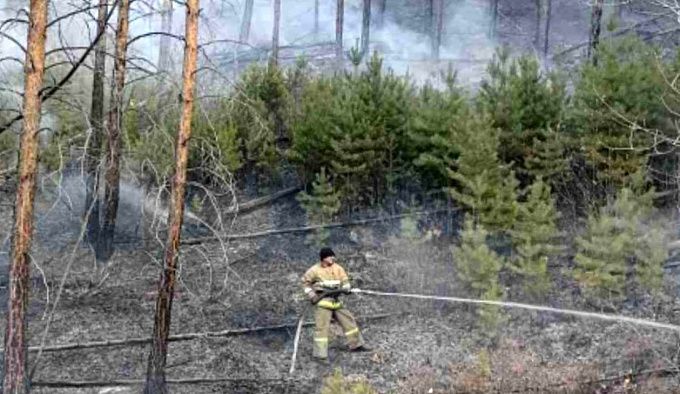 В Бурятии почти сутки усмиряли крупный лесной пожар