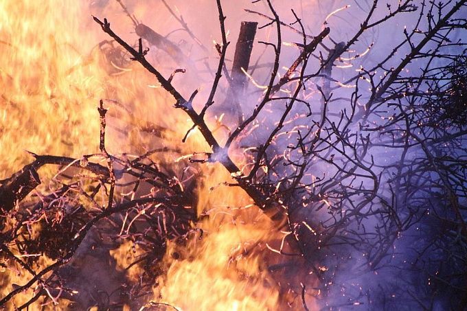 В Бурятии почти 100 человек тушили лесной пожар 