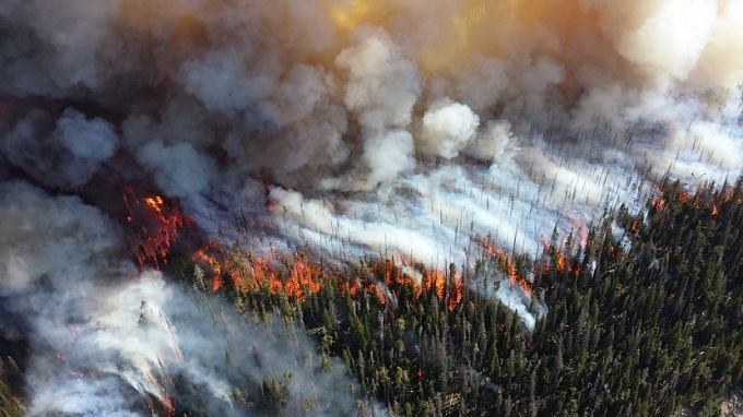 В Курумканском районе Бурятии из-за лесных пожаров введен режим ЧС