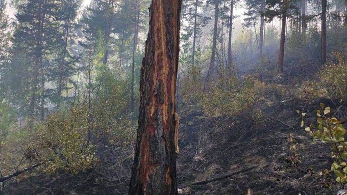 В Бурятии на склоне горы вспыхнул сложный лесной пожар