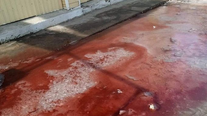 Специалисты назвали причину «кровавых» ручьев в районе Бурятии