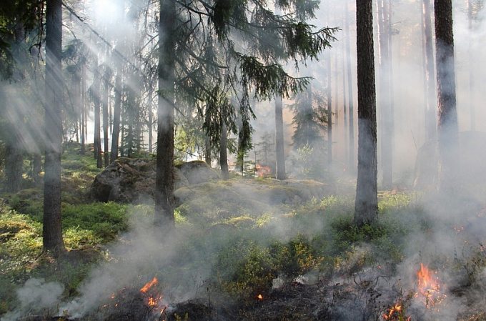 В Бурятии за сутки тушили один лесной пожар