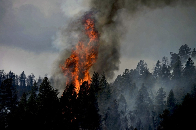 В Бурятии из-за вспыхнувшего автомобиля начался лесной пожар