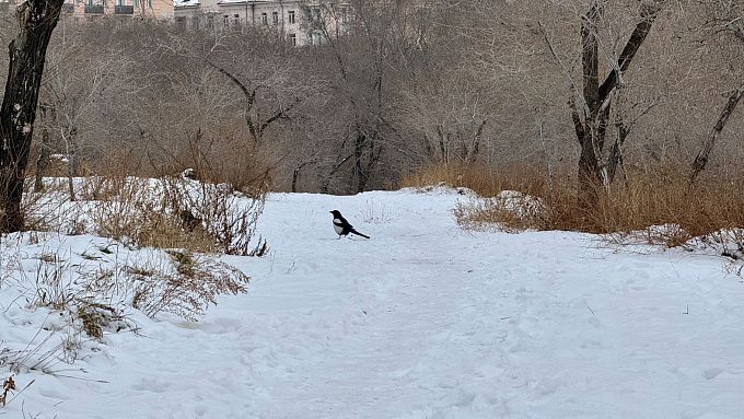В Бурятии в первый день зимы будет холодно и без осадков