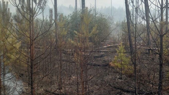 Два лесных пожара возникло в Бурятии за сутки