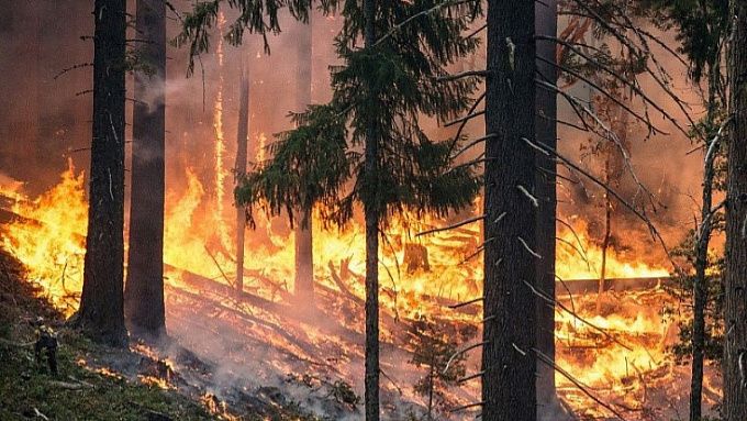 «Будем гореть»: Глава Бурятии поручил усилить контроль над селами, которым угрожают пожары