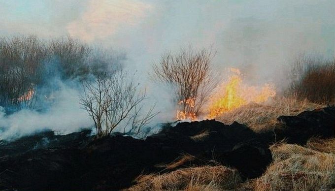 Дополнительные силы направят на тушение крупного пожара на севере Бурятии
