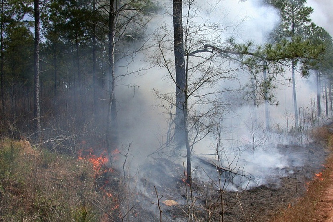 В Бурятии борются с пожарами на заповедных территориях