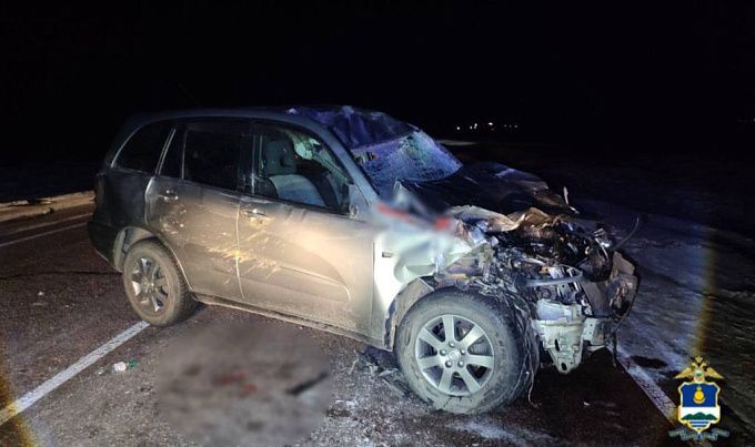 «Тойота» сбила лошадь на федеральной трассе в Бурятии