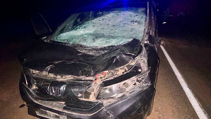 Девочка и женщина пострадали в ДТП с лошадью на трассе Бурятии