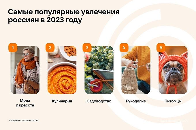 «Одноклассники» назвали самые популярные увлечения россиян в 2023 году
