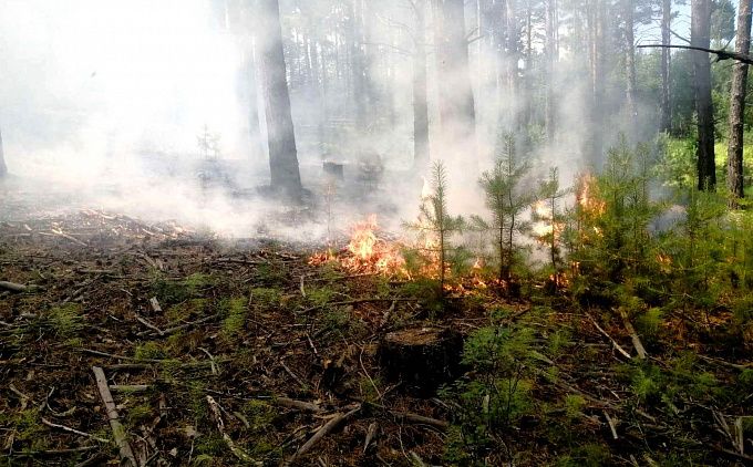 Еще три пожара разгорелись в Бурятии. С огнем боролись почти 300 человек