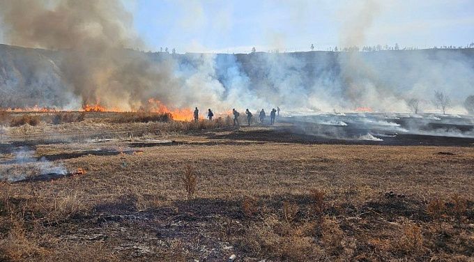 В Улан-Удэ продолжают сжигать траву. И пугать людей
