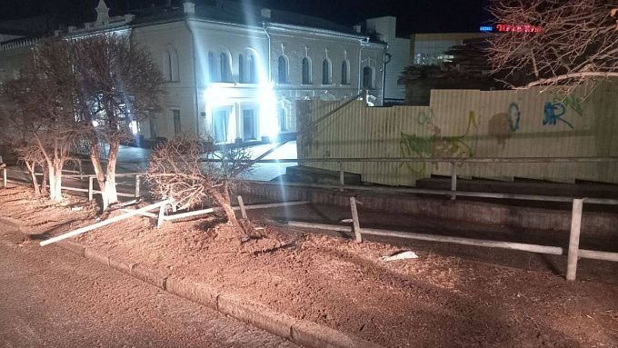 В центре Улан-Удэ неизвестные сбили яблоню