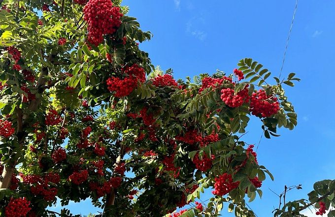 Какая погода ждёт Бурятию в первые дни октября