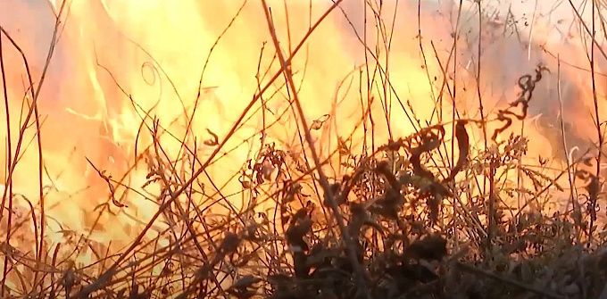 Крупный пожар уничтожил почти на 3,4 тысячи га леса на севере Бурятии