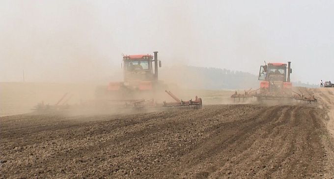 В Бурятии засеяли более половины запланированных площадей
