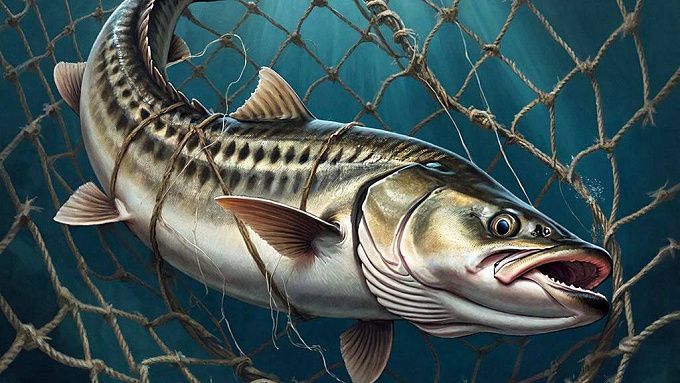 Жителя Бурятии осудили за добычу осетра на миллион рублей