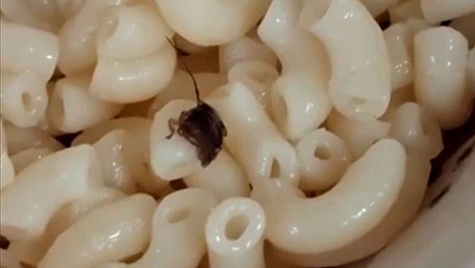 Ученики одной из школ в Бурятии пожаловались на таракана в еде