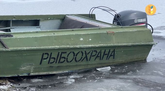 В Бурятии омуль попал в «демографическую яму»