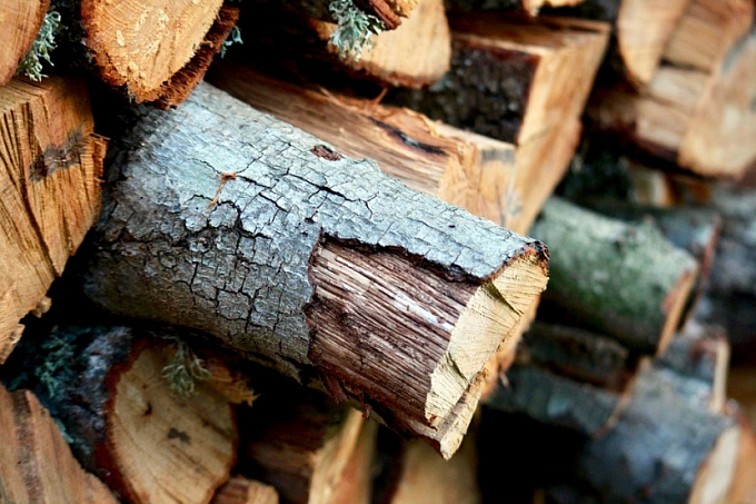 В Бурятии предпринимателей, заготавливающих лес, оштрафовали на 180 тысяч