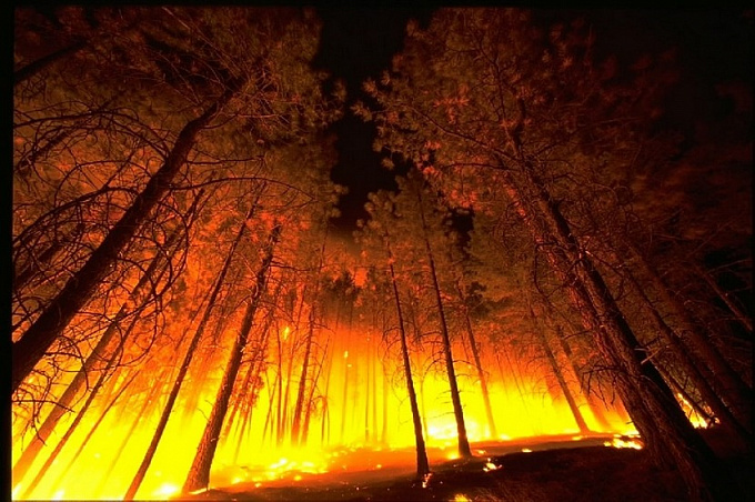 В Бурятии более 400 человек тушат лесные пожары