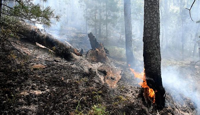 В Бурятии за сутки из-за гроз произошел 21 лесной пожар