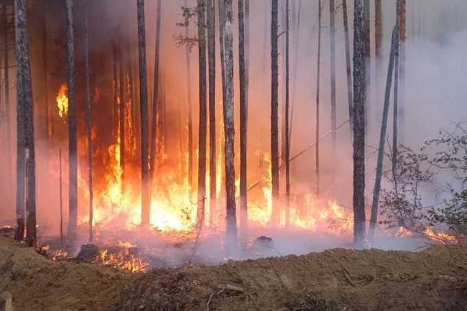 В районах Бурятии объявили максимальный уровень пожарной опасности