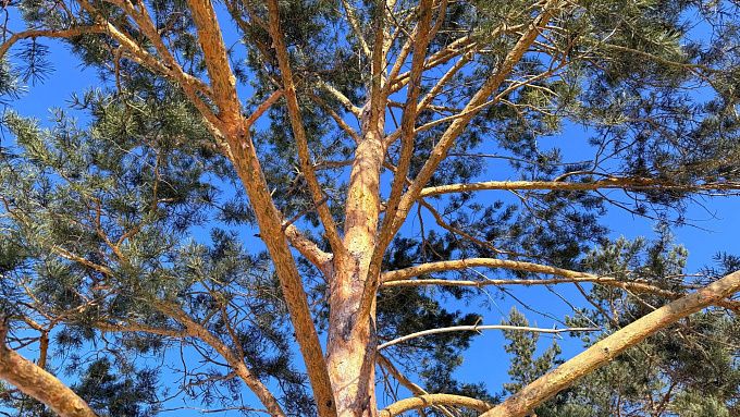 В Бурятии будет преимущественно без осадков