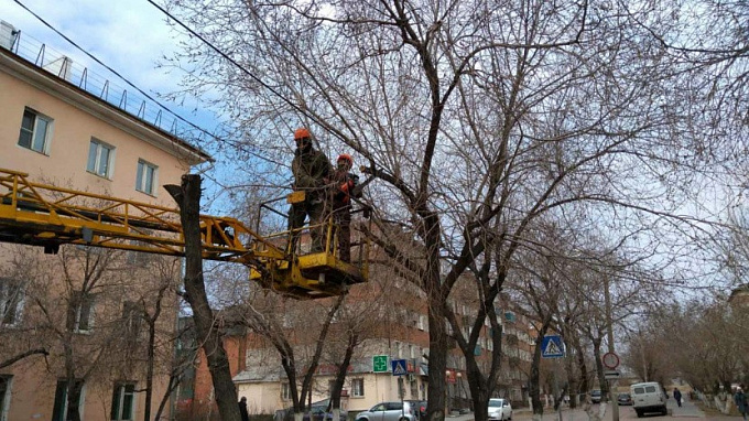 В Улан-Удэ начали подрезку деревьев возле линий электропередач