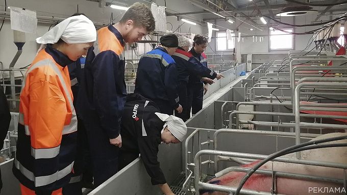 Будущие ветеринары посетили Восточно-Сибирский свинокомплекс «Сибагро»