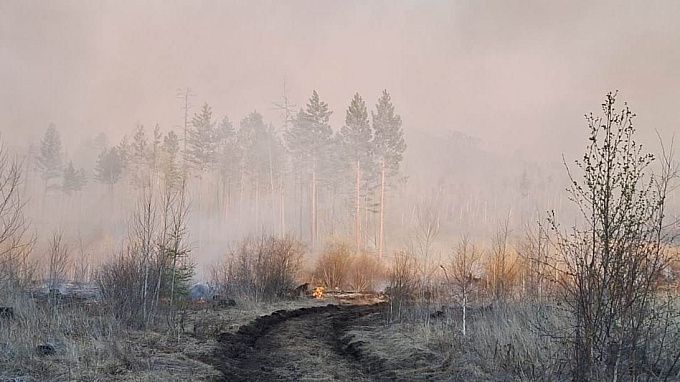 В Бурятии за сутки потушили 4 лесных пожара почти на 200 гектарах