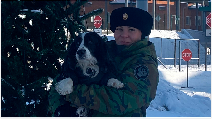 Лучшим поисковиком запрещёнки на границе в Бурятии стал спаниель Чак