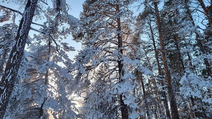 Сегодня в Бурятии будет морозно