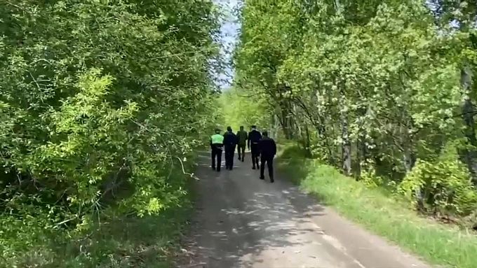 Сразу четыре человека потерялись за сутки в лесах Иркутской области
