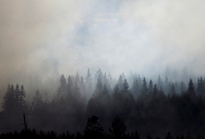 Районы Бурятии окутал дым от лесных пожаров
