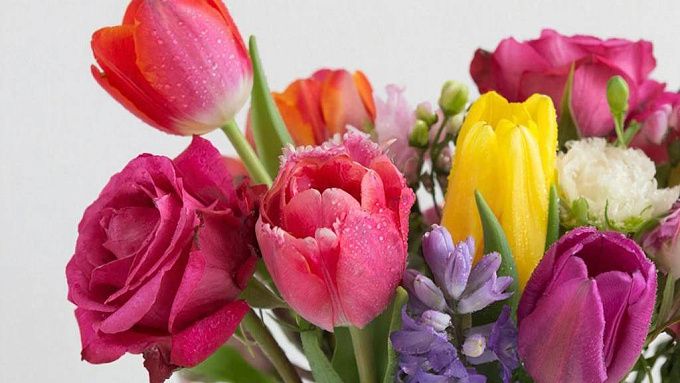 Бесплатные фотосессии устроят в парках Улан-Удэ 8 Марта 